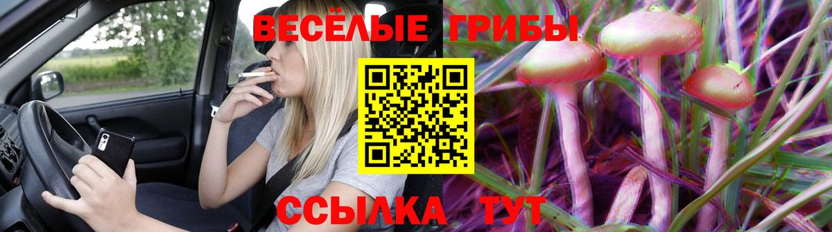 Петропавловск-Камчатский  Псилоцибиновые грибы Cubensis  Псилоцибиновые грибы мухоморы  Вход с VPN 